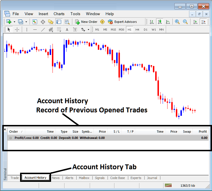 Commodities Trading MT4 Terminal Window Explanation - MT4 Commodities Transactions Tab Panel