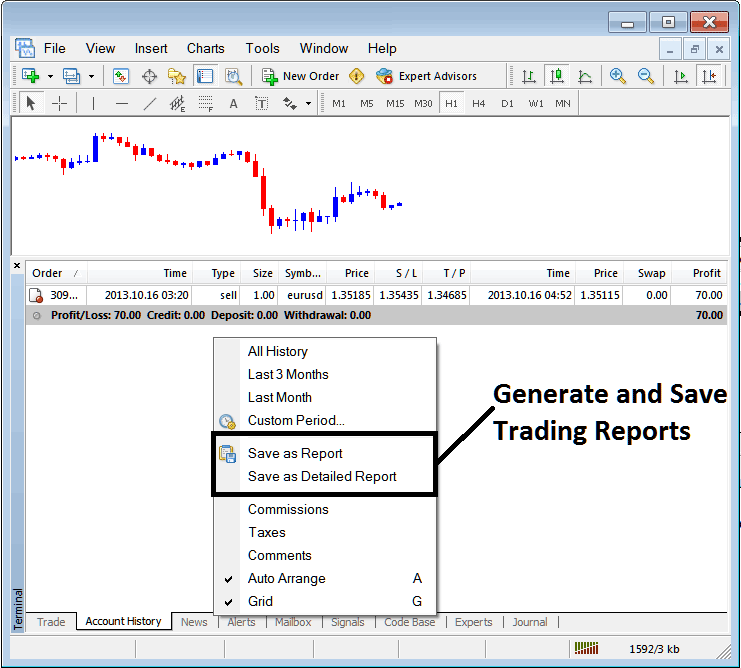 Commodity MT4 Terminal Window Explanation - MT4 Commodity Transactions Tab Panel - Commodities MT4 Platform