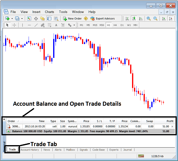 Commodities MT4 Terminal Window Explanation - MT4 Commodity Transactions Tab Panel - Commodities MT4 Software Platform