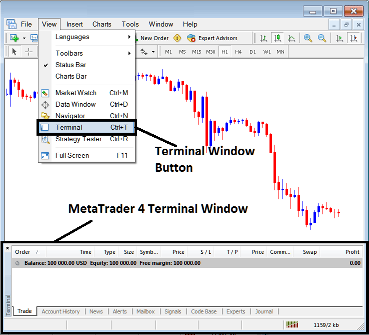 Commodities MT4 Terminal Window Explanation - MT4 Commodities Transactions Tab Panel - Commodities MT4 Platform