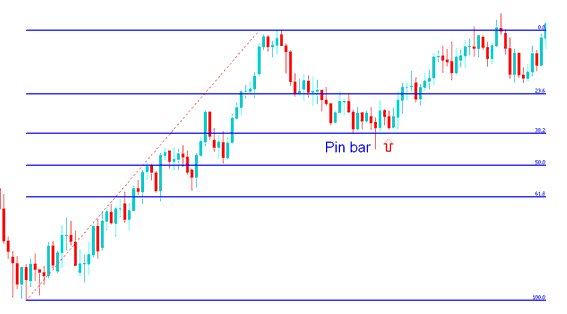 How to Trade Pin Bar Commodity Trading Price Action Combined with Commodity Trading Fibonacci Retracement Levels - Pin Bar Commodities Trading Price Action Method and Pin Bar Reversal Commodity Trading Signals - Commodities Trading Pin Bar Commodity Trading Price Action Trading Method