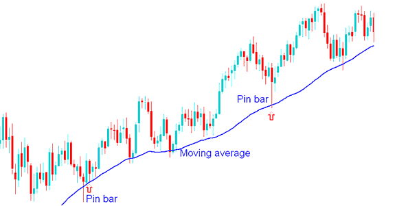 Combining Pin Bar Commodity Trading Price Action Pattern with Moving Averages Commodity Technical Indicator - Commodity Trading Strategies using Commodities Trading Price Action Patterns with Moving Averages Commodity Trading Price Action Patterns Indicator