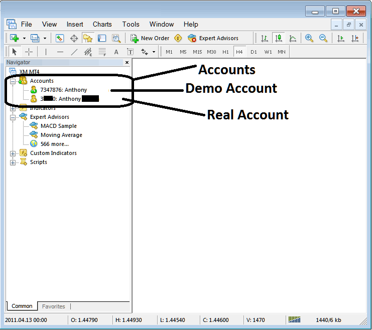 Demo Account and Real Account in MT4 Software - Energy MT4 Navigator Window Explanation - MT4 Energy Trading Software