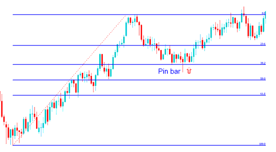 How to Trade Pin Bar Energies Trading Price Action Combined with Energies Fibo Retracement Levels