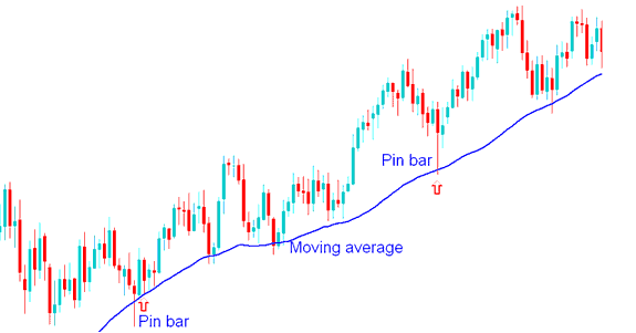 Pin Bar Energies Trading Price Action Combined with Moving Averages