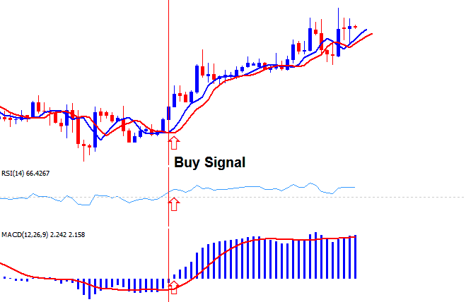 Market Participants - Brokers - Platforms - Forex Accounts - Trading Strategies & FX Trading Technical Analysis