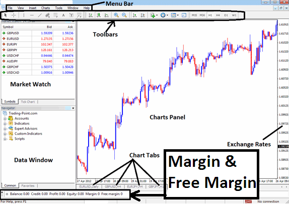 FX Leverage & Forex Margin - Maximum Forex Leverage and Used Leverage Forex Leverage