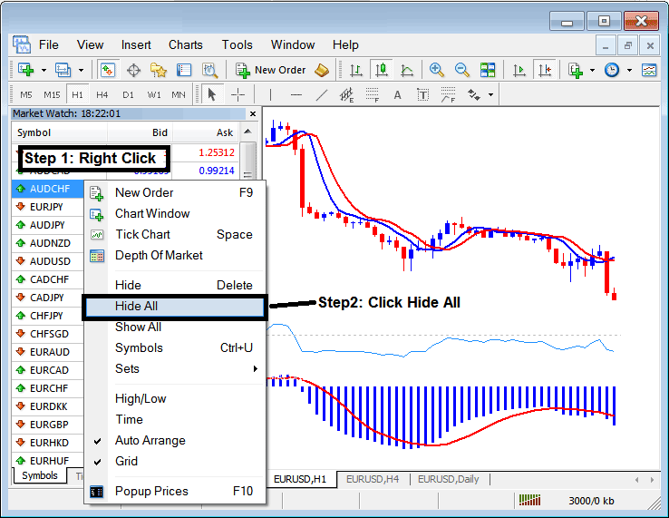 Forex Currency Pairs Naming Format - Examples of Forex Trading Currency Pair Quotes on MT4 Software Platform