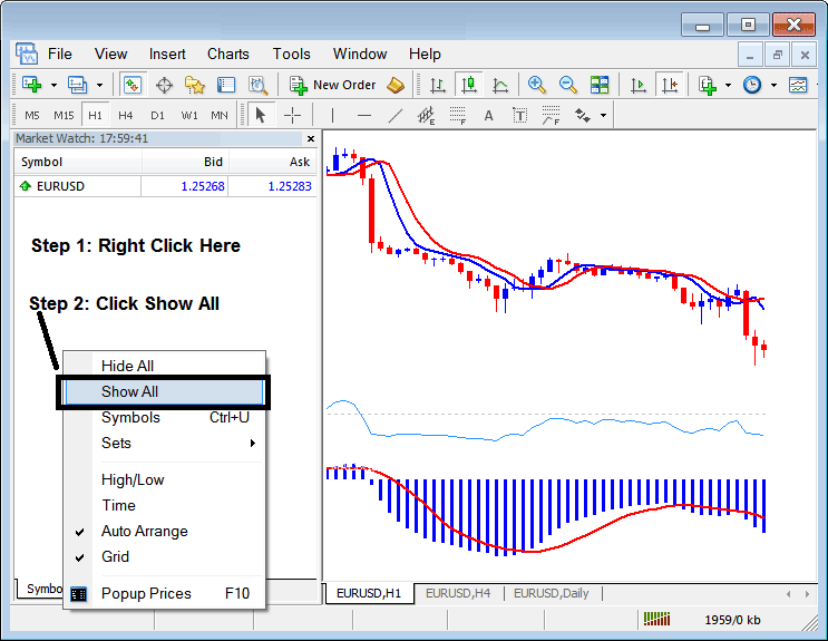 Forex Currency Pairs Naming Format - Examples of Forex Currency Pair Symbols in MetaTrader 4