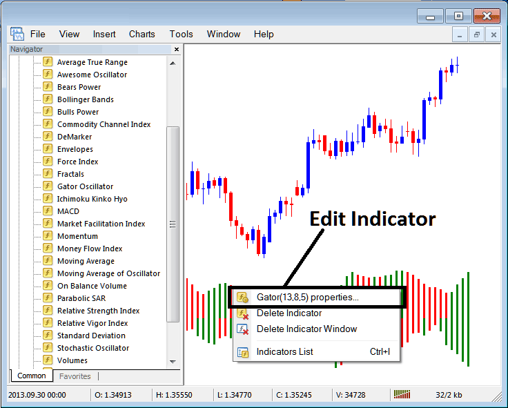 How to Edit Gator Silver Indicator Properties on MT4 Software - How to Set Up Trade MT4 Platform